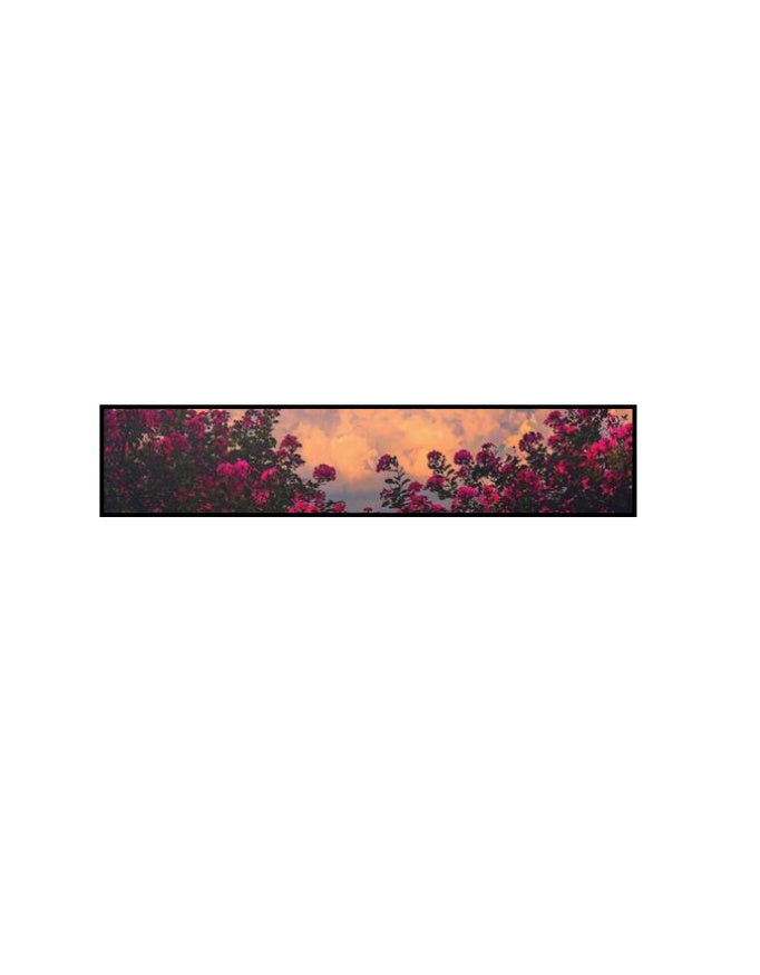 Front_1_c_17.jpg